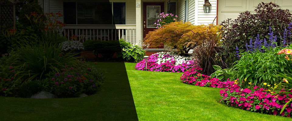 International Falls Landscapers