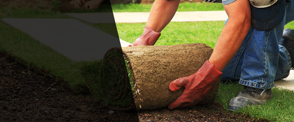 International Falls Landscapers